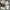 Converse Chuck Taylor Grey 36 stengah New photo 2