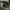 Converse Chuck Taylor Grey 36 stengah New photo 4