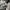 Converse Chuck Taylor Grey 36 stengah New photo 3