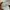 Prada Baroque sunglasses photo 5