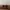 Gucci Aviator Sunglasses