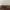 Gucci Aviator Sunglasses
