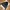Adidas Trefoil Originals 2008 Craftmanship Collection Satin  photo 3