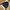 Adidas Trefoil Originals 2008 Craftmanship Collection Satin  photo 5