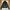 Adidas Trefoil Originals 2008 Craftmanship Collection Satin  photo 1