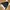 Adidas Trefoil Originals 2008 Craftmanship Collection Satin  photo 4