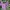 Vintage Crop Top Wanita Purple