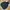 Jean-Michel Basquiat Goose Down Puffer Jacket photo 2