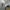 Deus Ex Machina Mens Crewneck Cream Original  photo 6