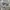 Short Double layer japanese archived isseymiyake avantgarde  photo 5