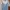 Tops remini photo 1
