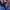 NEW BALANCE COLOUR BLOCK MP3 GORPCORE photo 8