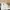WHITE HIGH CONVERSE CHUCK UNISEX photo 4