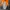 Jaket Hiking Pria Millet Builds Legends Tahan Angin dan Huja photo 1