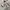 Japanese brand In the attic hooded sweat photo 6