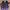 Nike TN Airmax Plus OG (Purple) photo 3
