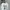 Gucci Streetwear Sweatshirt Wanita white photo 1