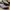 Adidas Adizero Evo SL photo 2