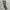 CELANA CARGO MILITARY photo 1