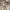 dress vintage maid coquette photo 2