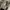 Grooverhyme Gorpcore Puffer jacket Pria white photo 2