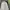 Grooverhyme Gorpcore Puffer jacket Pria white photo 1