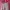 trifth outer new product photo 2