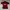 Jersey - Adidas