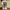 Kaos Marvel Comics The Amazing Spiderman Goblin Edition Offi photo 2