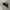 Converse One Star BlackWhite Leather Original  photo 1