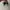 Converse One Star BlackWhite Leather Original  photo 3