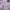 Kawaii hoodie dress lilac photo 1