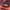 Longchamp Bag Large Maroon photo 1