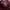 Longchamp Bag Large Maroon photo 5