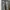 Ripped Skinny Jeans Topshop