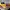 Topi MLB Pirates Second Original cap Model Baseball kuning photo 4