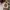 instaperfect 32 true beige photo 1