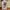 Kaos Marvel Comics The Amazing Spiderman Official Licensed P photo 2