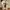 Kaos Marvel Comics The Amazing Spiderman Official Licensed P photo 1