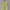 Cheongsam Atasan  photo 1