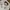 Vintage 90s Japan Jersey France 98 Coupe Du Monde Shirt photo 5