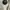 BURBERRY brit short trench coat, size 2 photo 4