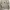 BURBERRY brit short trench coat, size 2 photo 5