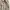 BURBERRY Brit Short Trench Coat, Size 2