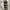 BURBERRY Brit Short Trench Coat, Size 2