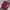 Scarlet Pleated Maxi Skirt (Warna merah maroon)  photo 1