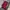 Scarlet Pleated Maxi Skirt (Warna Merah Maroon) 