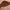 Brown Fur Jacket photo 1