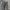 Uniqlo Vintage Casual Jeans Pria gray photo 4