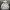 HOODIE STUSSY BASIC